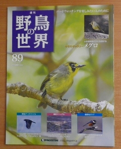 週刊野鳥の世界　89