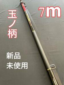 玉ノ柄　700 磯玉 玉の柄　タモ　ランディングシャフト　ランディングネット