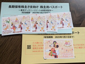 東京ディズニーリゾート 株主用パスポート