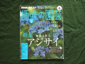 付録無し　NHK　趣味の園芸　2017年6月　梅雨を彩るアジサイ　芝生　クチナシ　イングリッシュガーデン