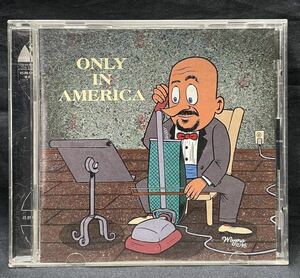 CD【ONLY IN AMERICA】全33曲 ガレージロック サイケ