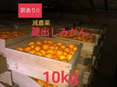 産地直送！訳あり 蔵出しみかん 10kg