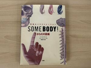 B3/実物大イラストレーション　SOME BODY からだの図鑑