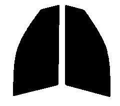 ブルーメタル65(65%) 運転席・助手席　ビーゴ J200G・J210G カット済みカーフィルム