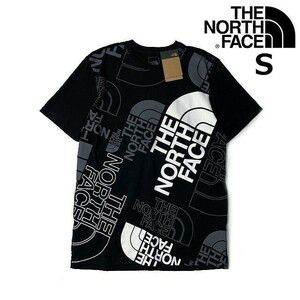 1円～!売切!【正規新品】THE NORTH FACE◆S/S GRAPHIC INJECTION TEE 半袖 Tシャツ US限定 グラフィック 男女兼用 キャンプ(S)黒 180902-15