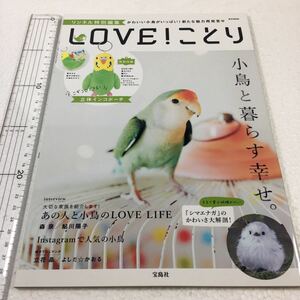 即決　未読未使用品　全国送料無料♪　リンネル特別編集 LOVE! ことり　付録無しの本誌のみです。　JAN- 9784800273703