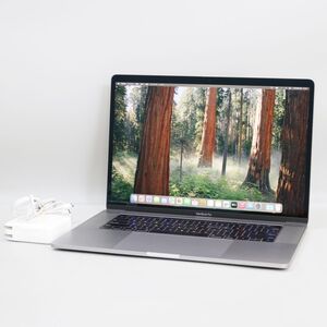 1円スタート Apple MacBook Pro 15-inch, 2018 (Core i7-8850H/メモリ32GB/SSD500GB/macOS 15)