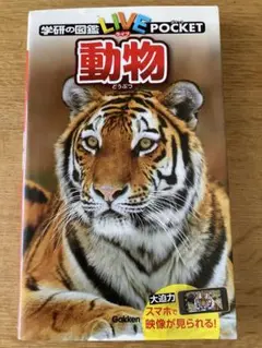 動物