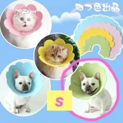 ⭐️即購入OK‼️✨エリザベスカラー 猫用 犬用 グリーン Sサイズ✨