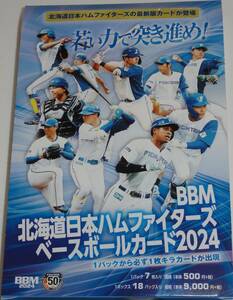 BBM 2024 北海道日本ハムファイターズ レギュラーコンプリート 81枚セット②