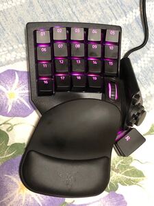 Razer TARTARUS PRO ゲーミングキーボード　動作可　中古品