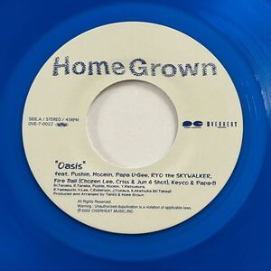 稀少7 HOME GROWN Pushim moomin PAPA U-Gee RYO the SKYWALKER Chosen Lee Keyco .. / Oasis / レコード ジャパレゲ