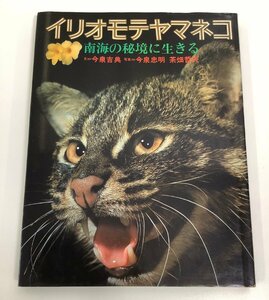 イリオモテヤマネコ 南海の秘境に生きる 今泉吉典/今泉忠明/茶畑哲夫 著 平凡社 【ta05j】