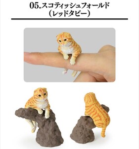 スコティッシュフォールド レッドタビー いきもの大図鑑 指まき コレクション 猫 茶トラ カプセルトイ ガチャガチャ ガシャポン フィギュア