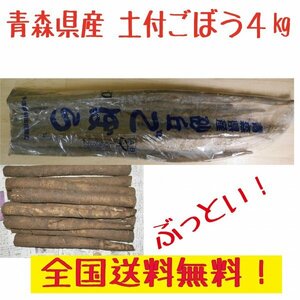 青森県産　土付　ごぼう　３L　4ｋｇ　　送料無料！