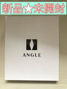 【新品★未開封】ANGLE e.MODEL 01 NECKLACE ブラック