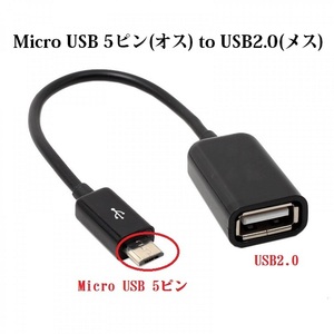 送料無料 Mini USB 5ピン to USB　メス USB2.0 OTG アダプタ オス－メス