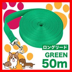 犬 リード　ロングリード 50m 小型犬 中型犬 緑 リード50M５