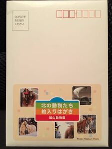 【超レア】北の動物たち 絵入りはがき　旭山動物園【撮影：今津秀邦】【5枚入り】【50円ハガキ】【お買得品】【コレクター向】