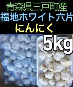 青森県三戸町産　食用　福地ホワイト六片　新にんにく　サイズ混ざり　箱込み約5kg