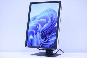 即配 使用695時間 21.3インチ ワイド モニター IPS EIZO RadiForce RX250 動画編集 医用 レントゲン MRI CT ピボット回転 Displayport DVI