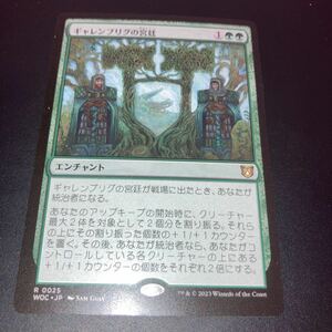 ギャレンブリグの宮廷　ギャザリング mtg エルドレインの森