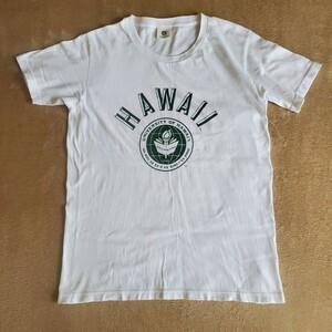 スピック&スパンフレームワーク UNIVERSITY OF HAWAII カレッジTシャツハワイ大学