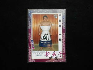 BBM大相撲カード2020新　千代丸