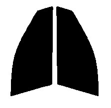 断熱クリアー　運転席、助手席　インスパイア　UA4・UA5 カット済みフィルム