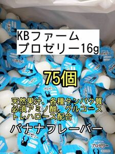 人気昆虫ゼリー KBファーム プロゼリー16g 75個カブトムシ クワガタ ハムスター フクロモモンガ ハリネズミ オオクワガタ デュビア