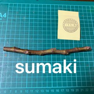 sumaki穂木 イチジク穂木 いちじく穂木