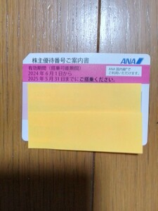 ANA 全日空　株主優待券　1枚　有効期限2024年6月1日～2025年5月31日迄　送料出品者負担