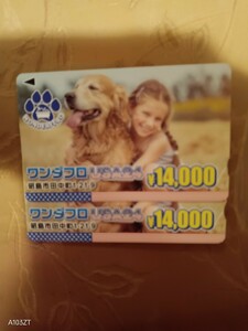 昭島　定価以下　ワンダフロUSA 28000円分 未使用プリペイドカード　犬 セルフお風呂　