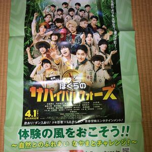 【送料無料】少年忍者 平岡祐太 東西ジャニーズJr. 　　ぼくらのサバイバルウォーズ 映画ポスター B2 サイズ安嶋秀生 内村颯太 青木滉平他