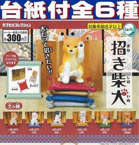 ■POP台紙付■招き柴犬■全6種セット