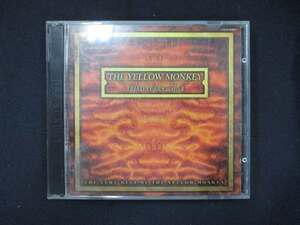 953＃レンタル版CD TRIAD YEARS act I & act II～THE VERY BEST OF THE YELLOW MONKEY/THE YELLOW MONKEY