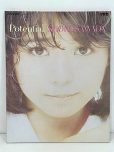 /23Y073 2 VHD 沢田聖子　Potential 日本ビクター VHM68083 中古