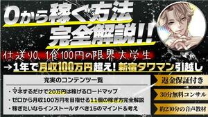 ★【初心者向け】ゼロから稼ぐ方法完全解説！マネするだけで20万円稼ぐロードマップ、月収100万円目指せる11の稼ぎ方を暴露★定価49800円★