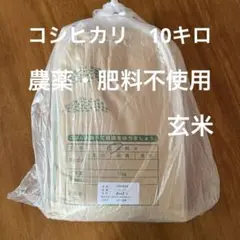 農薬・肥料不使用、天日干し　令和5年産　10キロ