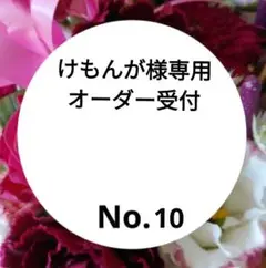 けもんが様専用オーダー受付　オーダー受付No.10