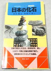 約600点(カラー写真と詳細な解説)「日本の化石 自然観察シリーズ17 地学編」浜田隆士　糸魚川淳二