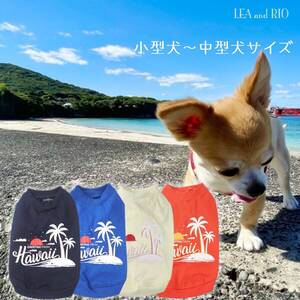 トップス Tシャツ XS～XXLサイズ DD162 DD163 DD164 DD165 パピー 小型犬 中型犬 犬 猫 ペット 服 犬服 猫服 可愛い カジュアル 春夏