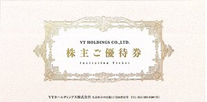 甲南☆VTホールディングス☆株主ご優待券☆新車・中古車購入時利用優待券3万円 等☆冊子☆2025.12月末日【管理3845】