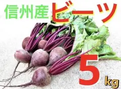 【信州産ビーツ】5kg 【有機肥料使用・化学農薬不使用】