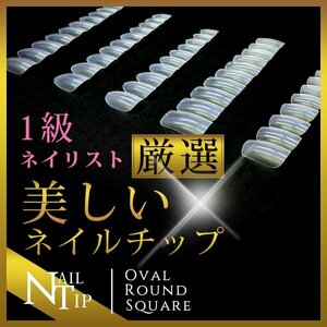 2セット1０0枚　激安（０１）ラウンドショート　ネイル【1級ネイリスト厳選】　ネイル　極上ネイルチップ　クリア50枚入り