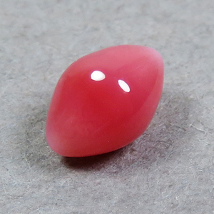 《shape》コンクパール(conch pearl) ルース(0.49ct)