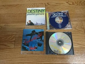 ★☆Ｓ07895　山根 康広（やまね やすひろ)【DESTINY-夢を追いかけて-】【BACK TO THE TIME】　CDアルバムまとめて２枚セット☆★