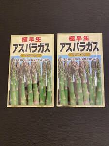 2024年1月入荷 お得セット アスパラガス 種子 種 タネ バイトル 極早生 asparagus