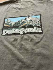 USA製 patagonia beneficial T