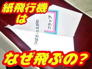 ★紙飛行機が飛ぶ本当の原理メカニズム★物理の未解決問題を簡単な実験で解明！理由 なぜ？科学 知育 保育園 幼稚園 小学 中学 高校 ぽいう